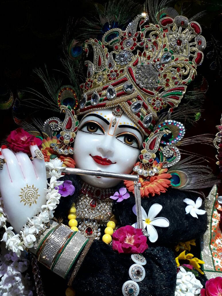 Priyakant_Ju's tweet photo. 12/08/2017
 ठाकुर श्री प्रियाकान्त जू भगवान के आज के दर्शन 
श्री प्रियाकान्त जू मन्दिर, वृंदावन
।। राधे राधे बोलना पड़ेगा । https://t.co/wqqpH2CUuz