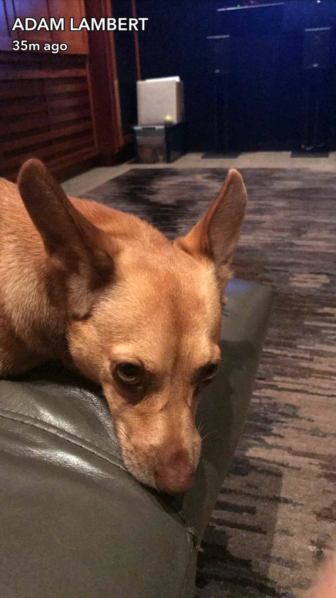 Adam on Snapchat. 🐕🐾💓