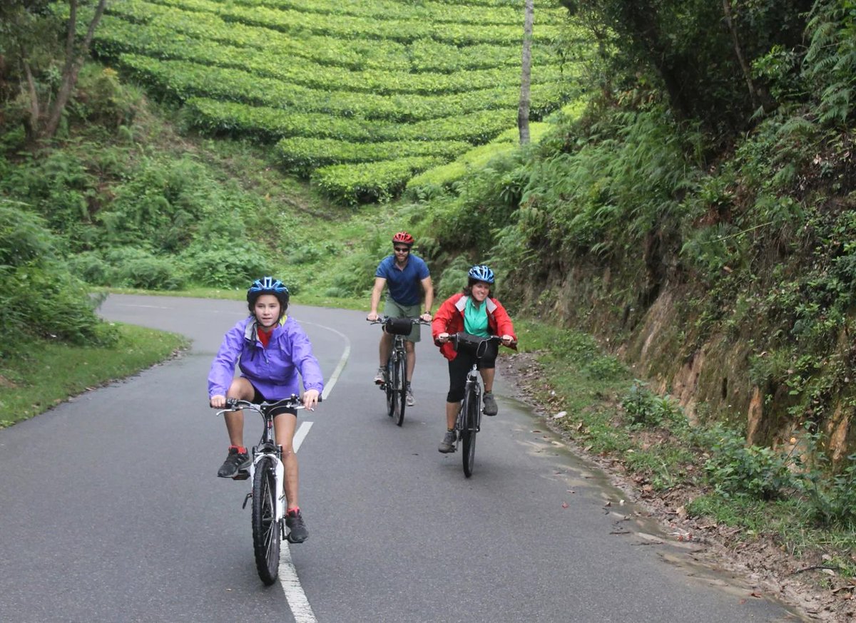 AdventuresTree's tweet image. #Cycling #Tours &amp;amp; Cycling #Holidays in #India with Temple Tree Escapes
goo.gl/f49uQ4