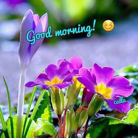 sapnajoshi122's tweet photo. @Akpattnaik25 @imsanjayp @kapilpandit86 @Chandra1Vinod @MDhakery @devinderraiji @GCHDutta @AjitRaj37536682 @Pratap061061 @JNilkamalraj75 @SureshM46 @vijaych35302200 @dawar_l @pawankr1212 @sanjay_khattri @Sanjeevarora64 @Swadhinta5 @iam_Jayeeta @NavinKu01774480 @Krishna9936170 @wetwokrishna @Yuvraj_kt @SanjayVaidya33 @akhps @k_kumar24 @rathodsahiba @ThakurA95293456 @SanjayS00663282 @R_Niranjan_1994 @CityHunter27 @shailjohn7 @BjpGulam @m_studart @arunpeepu60 @SVijayvargiya10 @NarsipKaur @iam_spl_ @manshasharma5 @divpn @sahajyoti3 @GsjpJyoti @Sunita_Says_ @touchn2btouched @SashiSimhan @nsbchd @IamSunitha777 @DrVarun3 @ranigill7 @rameshagrawal95 Good morning https://t.co/edTo5qKYNx