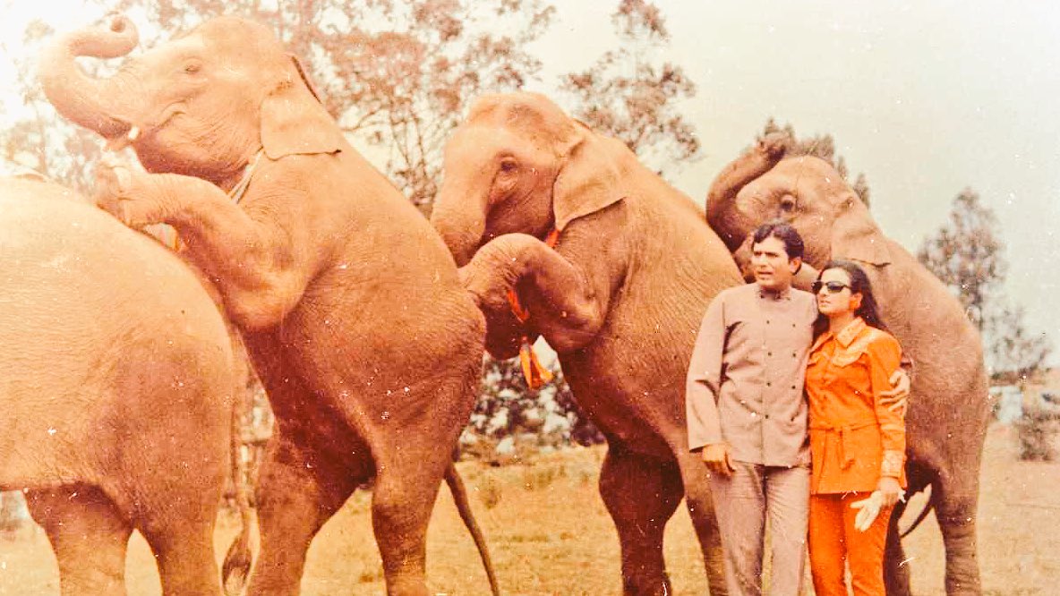Film History Pics on X: "(1971) Rajesh Khanna and Tanuja in a still from  film 'Haathi Mere Saathi'. #WorldElephantDay https://t.co/AHUP7jBP9x" / X