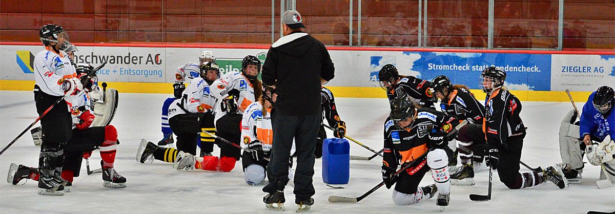 SwissHockeyGirl's tweet photo. #BasiLadies #LadyLakersRapperswil #BrandisLadies #ECWil Back on Ice! https://t.co/SV3dWs5GoU
