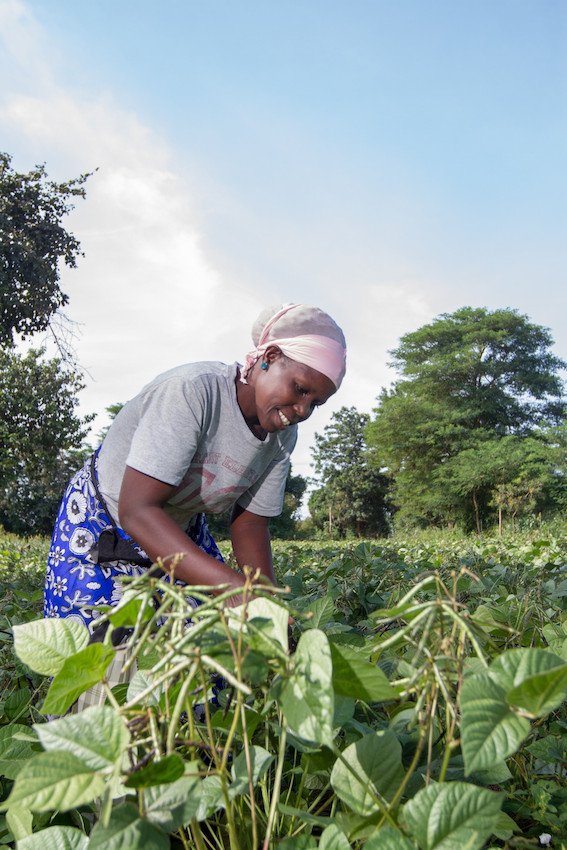 Farm Africa tweet media