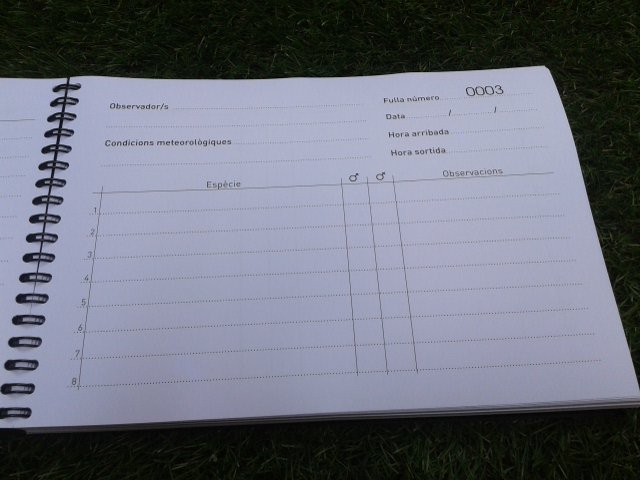 Minerva Sellés tweet media