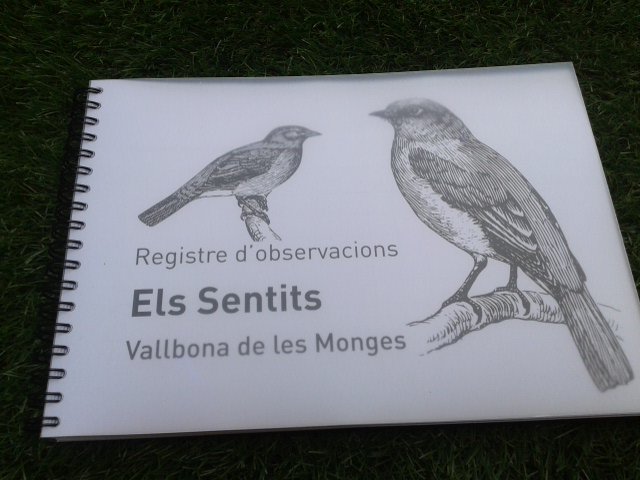 Minerva Sellés tweet media