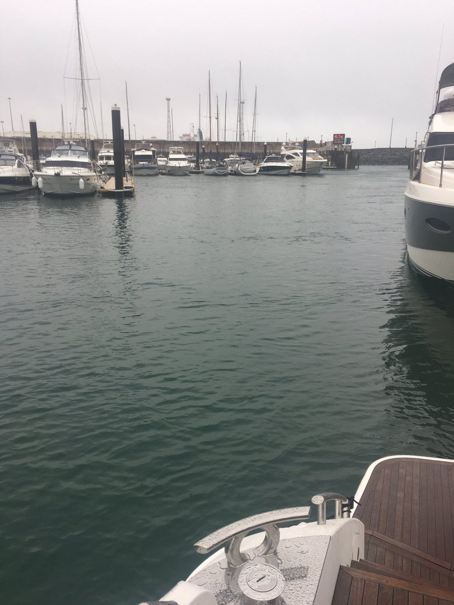 sportstupid's tweet image. Good morning #sthellier