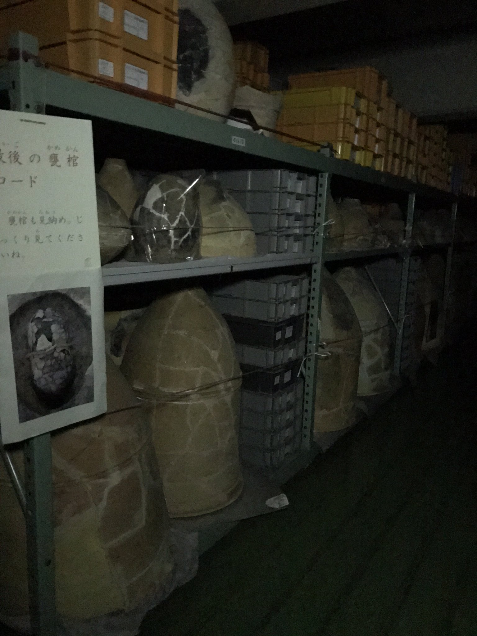 福岡市博物館 No Twitter 甕棺の前で 出土直後の写真を見ながら甕棺談義をなさる老夫婦 いっぱい甕棺あるから全部展示したらいいのにね と 今回は収蔵庫に保管している甕棺を見ていただく良い機会になりました 収蔵庫暗闇ツアー 福岡市埋蔵文化財