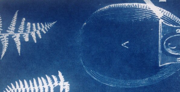 FelicityBristow's tweet photo. #WIP with #SusieWilson for our  #Edgelands commission for @artwalkporty #cyanotype #imPRESSions of #Porty #AWP2017 🌿☀️📉📐 https://t.co/W8AkXC1rFT