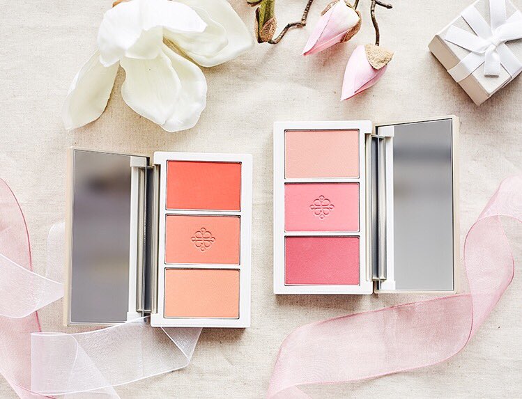 pnpymakeup's tweet photo. [Pre-Order] #APIEU New Blush 
ราคา 640.- https://t.co/Ei3oDikKPS