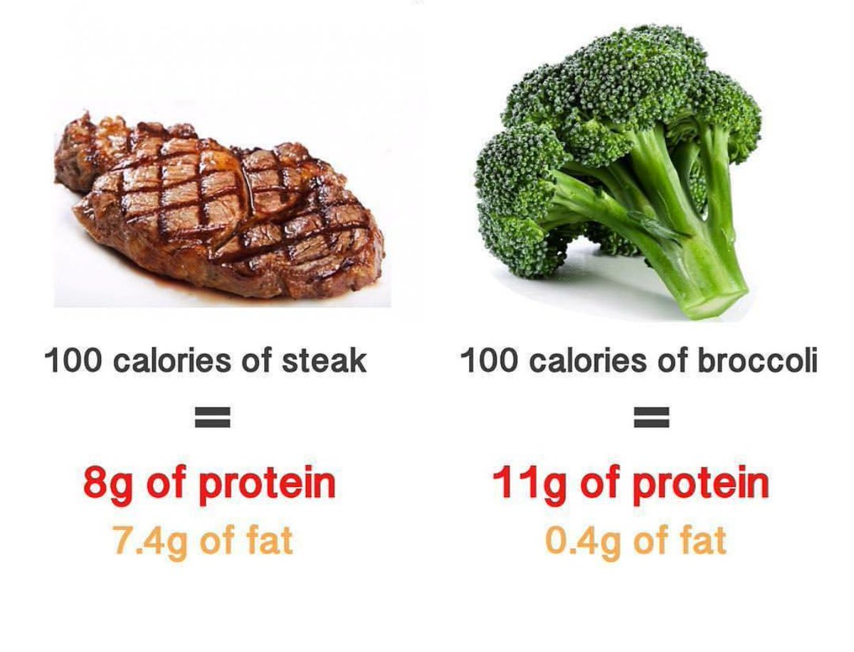 Know the facts! Be informed! Plants are protein rich! #plantstrong #lifestyle #fiber #micronuntrients