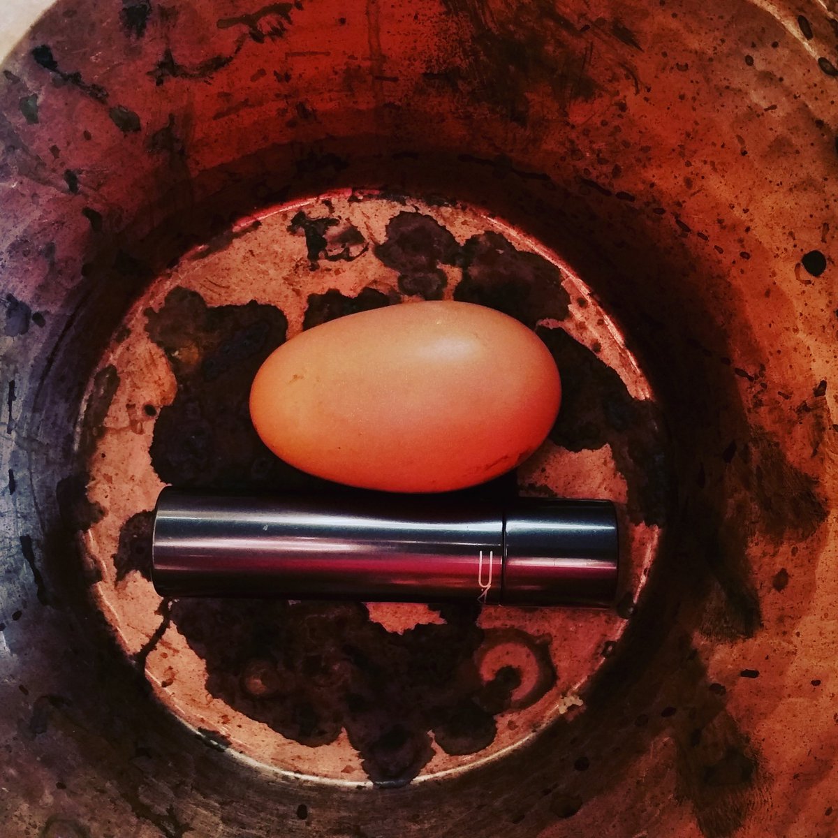 jndyck's tweet photo. First egg. These girls are finally earning their keep. Or at least one is. #backyardchickens #tinyegg #FarmLife https://t.co/KhIyelIrrS