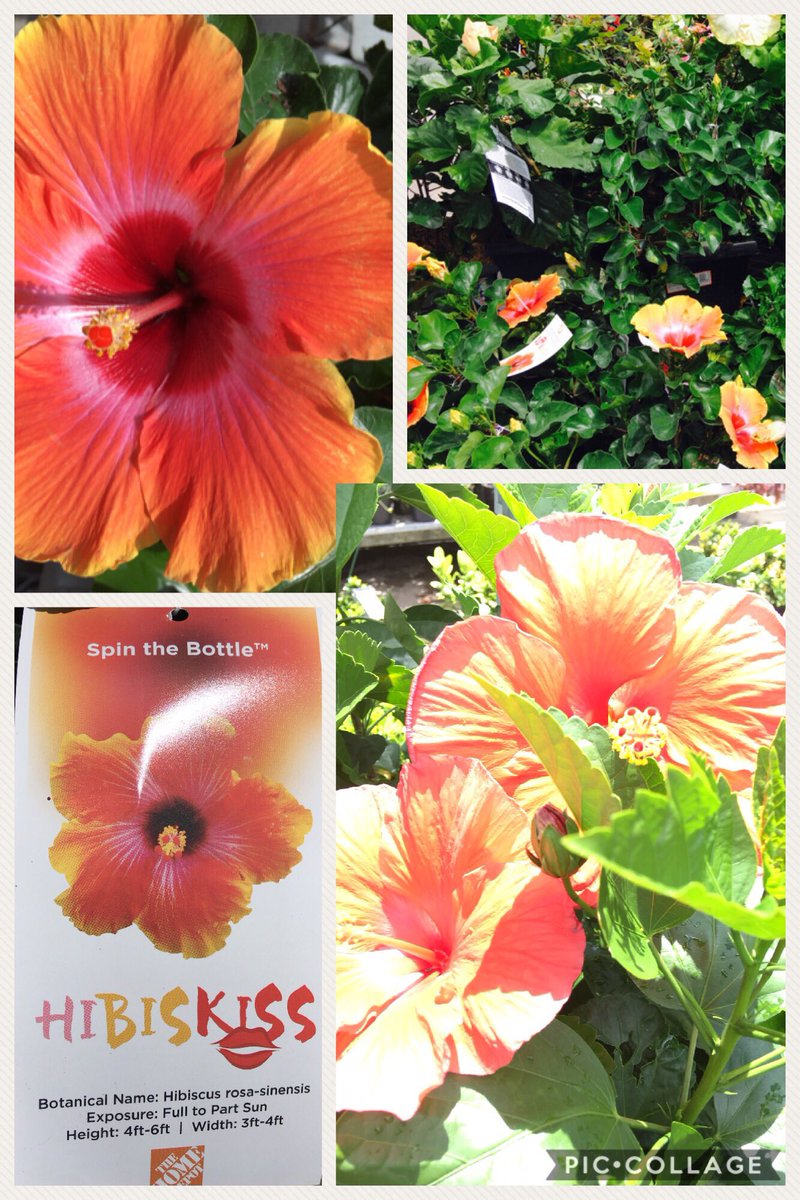 Matt Foster tweet media