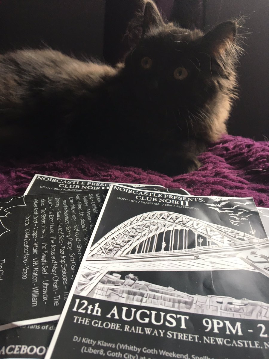 melbutlerphoto's tweet photo. Tonite in the Toon! #clubnoir. Best of alt music. #newcastle #altscene #alternativemusic #altclub #gothupnorth #darkwave #industrial #goth https://t.co/lj9dB9A2j5