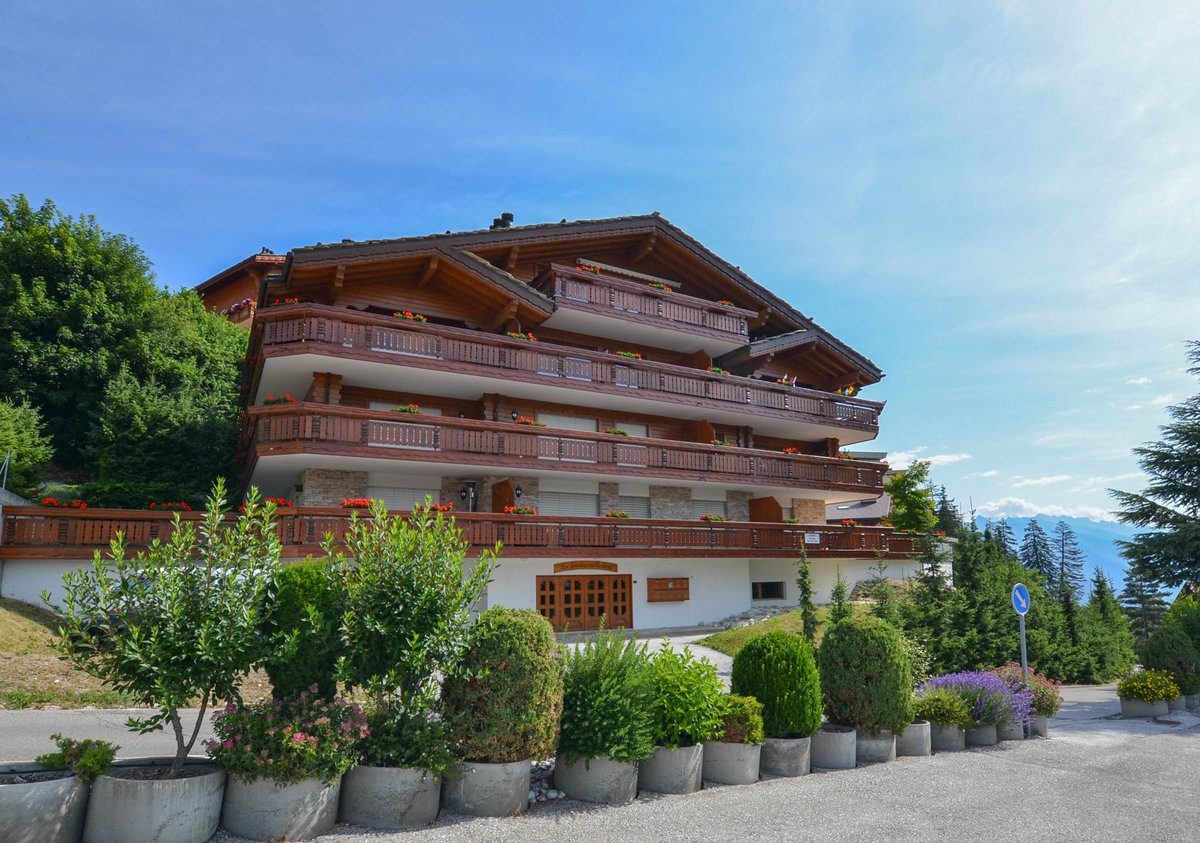 Altitude Immobilier tweet media