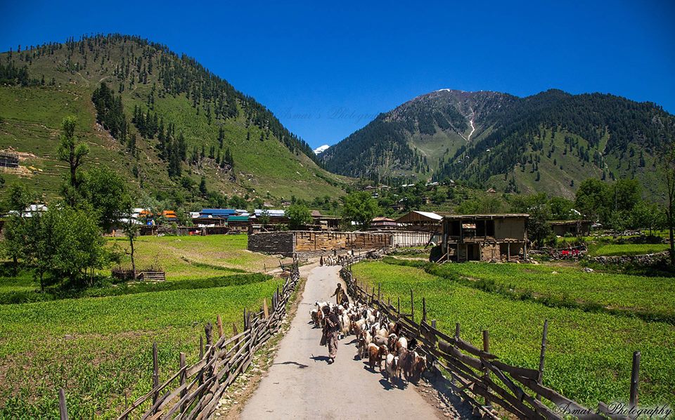 TripsBackPacker's tweet photo. We need #PeacefulPak , #Travel #Pakistan 

Info: https://t.co/q3yQEozLdY https://t.co/7QvYdXcCMG