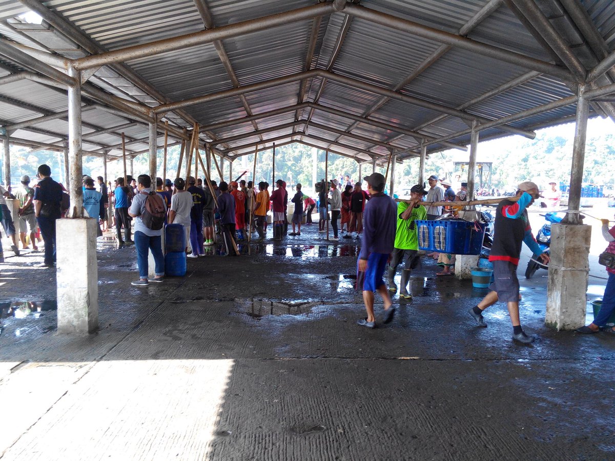 himwawa's tweet photo. ikan melimpah tadi pagi di #sendangbiru #malang @susipudjiastuti https://t.co/Y6PXf9UCRD