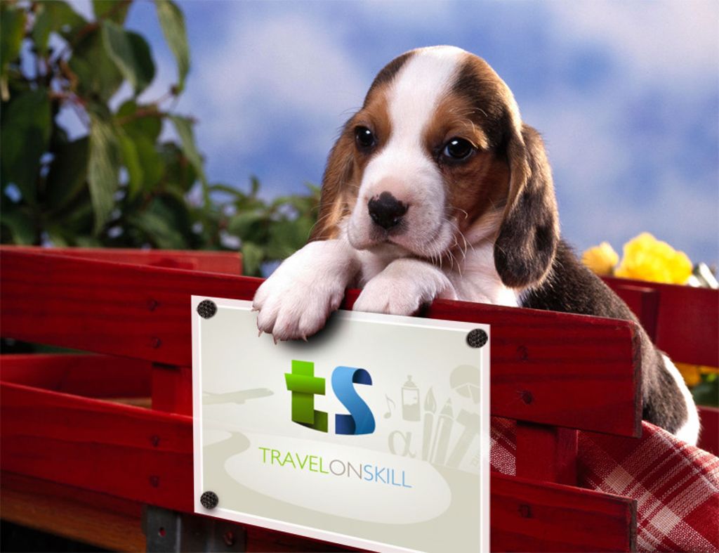 TravelOnSkill's tweet photo. Check out https://t.co/6eX0hGYkX0 Get #EarlyBird Access now! #swapskill #socialinnovation #travel #accommodation #betatesters #betaaccess https://t.co/6JsqWqE8O5