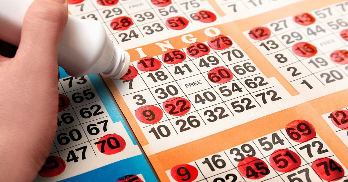 thefreebingo's tweet photo. Is it a bird? Is it a plane? No it's a Ted - and he has £40 of bingo tickets for new players (terms apply)

https://t.co/iBGkoJxBVg https://t.co/0gnuTuA0qi