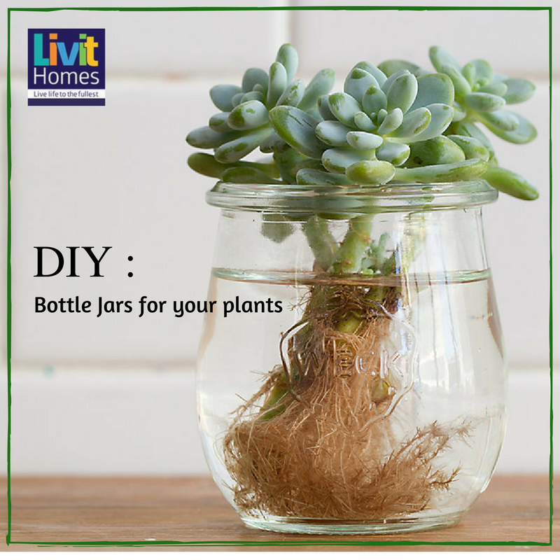 livithomes's tweet photo. Love indoor plants? Give a chic new look to your house with these greens!
#decor_tips 
#flats_in_aluva
Visit: https://t.co/huGbGIoqk8 https://t.co/h5KAXF7N4o
