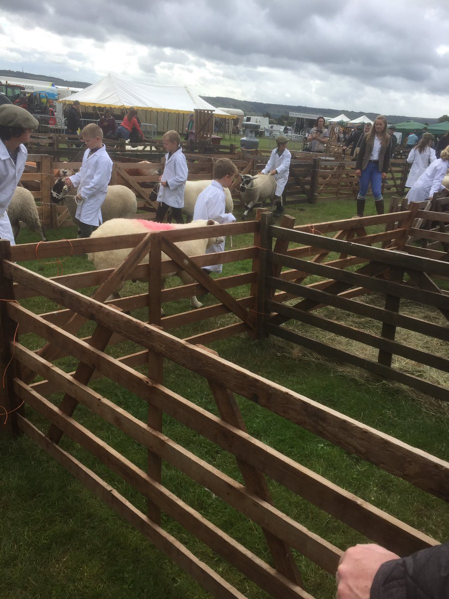 SantaDashHudds's tweet photo. Young Handlers at #HalifaxShow call in and see the cattle, sheep &amp; goats #g8DayOut https://t.co/9X1nYTwvds