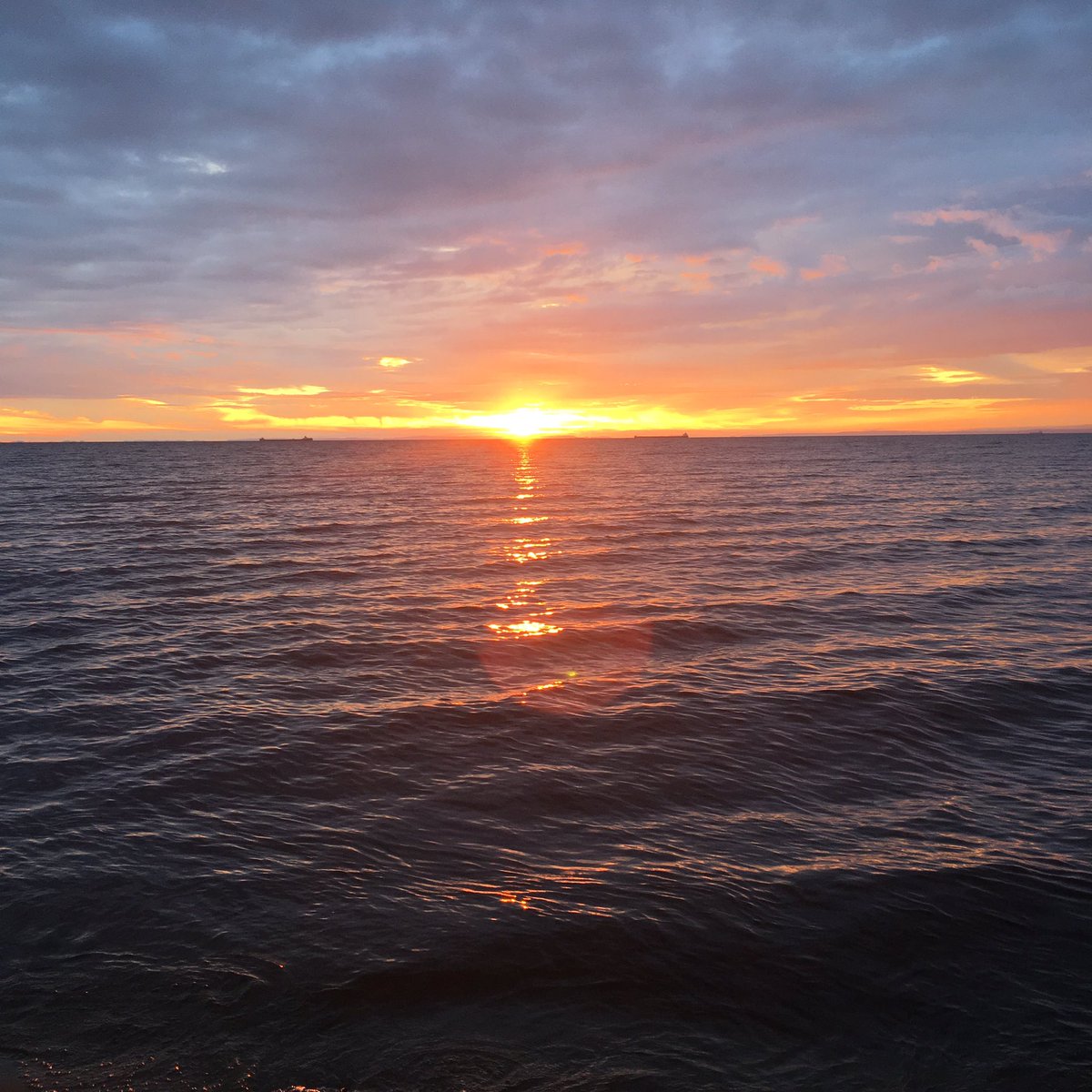 Josephr1003's tweet photo. Caught the sunrise this morning 🌅 https://t.co/21XQiMeAOE