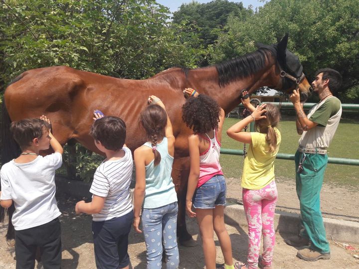 RaiRadio2's tweet photo. L'agricoltura sociale in Italia: Cascina Biblioteca a Milano fa rieducazione equestre con persone con fragilità e vendita diretta #Ovunque6 https://t.co/viHvKjNgvQ
