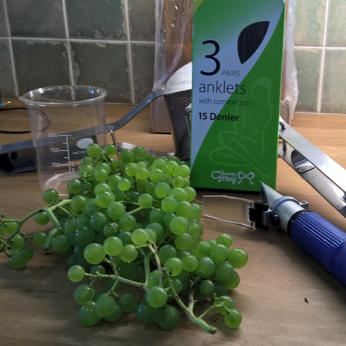 First sampling of the year, requiring grapes (Solaris), stockings, potato river, beaker &amp; refractometer. 14.2Brix 7.7%pe #Englishwine