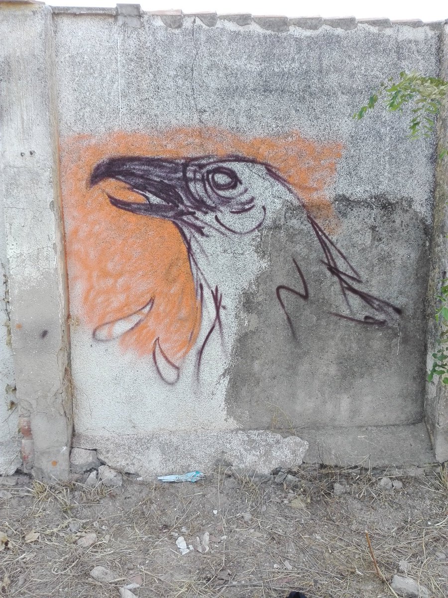 heylava_'s tweet photo. Tardes de verano #graffiti #graffitiwoman #graffitifemme #artist #crow #cuervo https://t.co/O9CBCqadgM