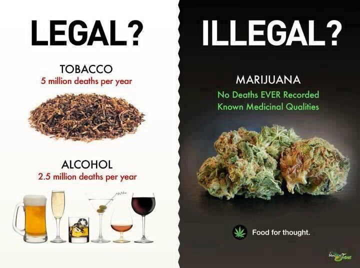 ThonetVDMerwe's tweet photo. https://t.co/na3QTMkiTI #TOTplant #daggacouple #freetheweed https://t.co/YhheI0oYOZ