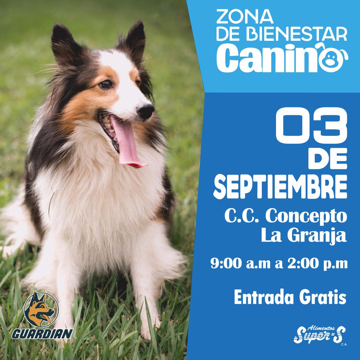 supersvzla's tweet photo. Zona de Bienestar Canino, pensada para atender la salud de tu mascota el próximo 03/09 #nutricion #nutricionanimal #saludcanina https://t.co/F0zkgEupL3