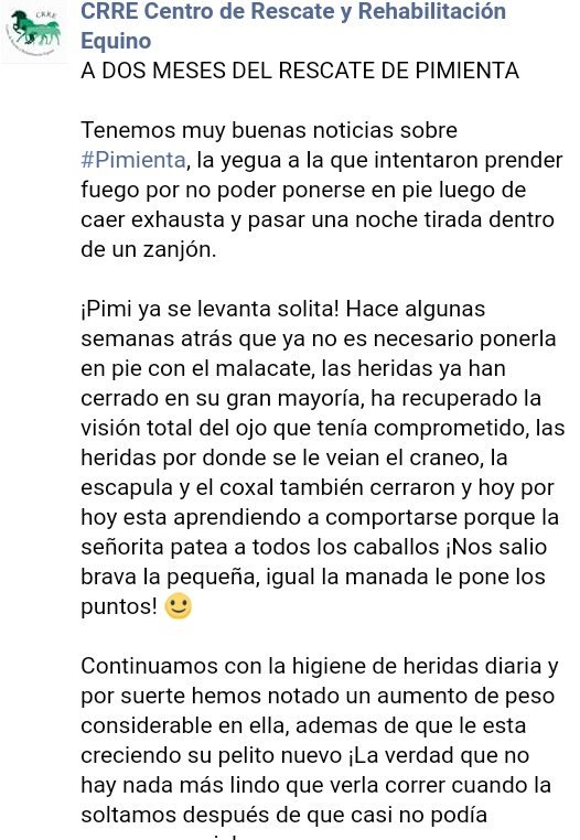 acarola0's tweet photo. Intentaron "PRENDERLA FUEGO" POR NO PONERSE DE PIE.ASI ESTA PIMIENTA HOY. firmaste?✒ https://t.co/WsyeCfWC8y 
@candetinelli @CarolinaPiparo https://t.co/ZsG60zcoDX