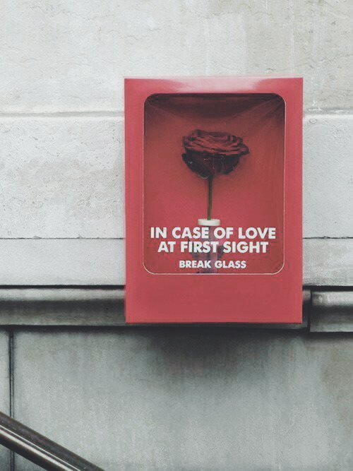 C Darling I Hope That You Ll Be Here When I Need You The Most Red Aesthetic Grunge Tumblr Redaesthetic Quotes Photogrpahy Lyrics T Co Glksg5bpu6 Twitter C Darling I Hope That You Ll Be Here When I Need You The Most Red Aesthetic Grunge Tumblr Redaesthetic Quotes Photogrpahy Lyrics T Co Glksg5bpu6 Twitter