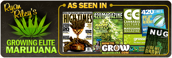 IllusionJrz's tweet photo. https://t.co/pecrW5qh7j #Learn #HowTo #Grow #Weed #Cannabis #Guide #Book #Buy #Purchase https://t.co/NN3fIfG1nV