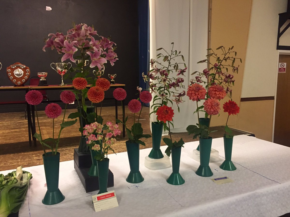 CPJElmore's tweet photo. Congratulations to competitors &amp; winners at Llanharan Horticultural Show. Thanks Nathan, Sharon, Rob &amp; rest of cmmt for another superb show! https://t.co/jF8O7Bs6rr