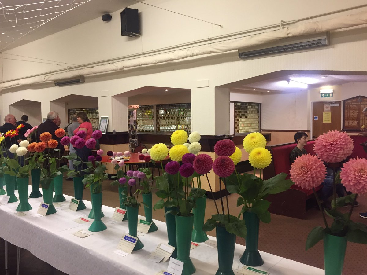 CPJElmore's tweet photo. Congratulations to competitors &amp; winners at Llanharan Horticultural Show. Thanks Nathan, Sharon, Rob &amp; rest of cmmt for another superb show! https://t.co/jF8O7Bs6rr