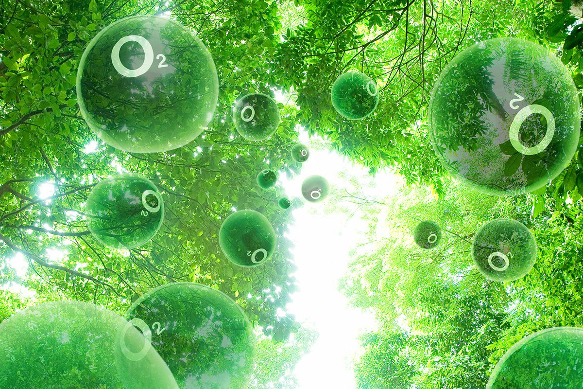 suzmattaboni's tweet photo. #WhyWeNeedTreesIn5Words Let's hear it for oxygen!!
@SadlyCatless @KeshaTedder https://t.co/5RdU9IJkg3