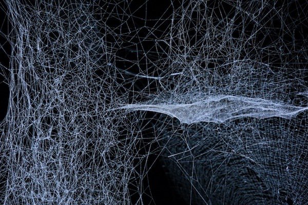 Python is almost irreplaceable when it comes to AI #AngularJs #reactjs #100daysofcode #coding #nodejs #php #AppDev  #CodeNewbie #vuejs #AI