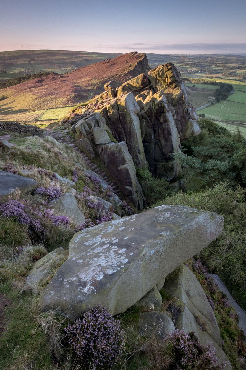 A recent shot from Wednesday morning at sunrise at The Roaches steps. Some lovely heather in flower right now.
#peakdistrict #staffordshire