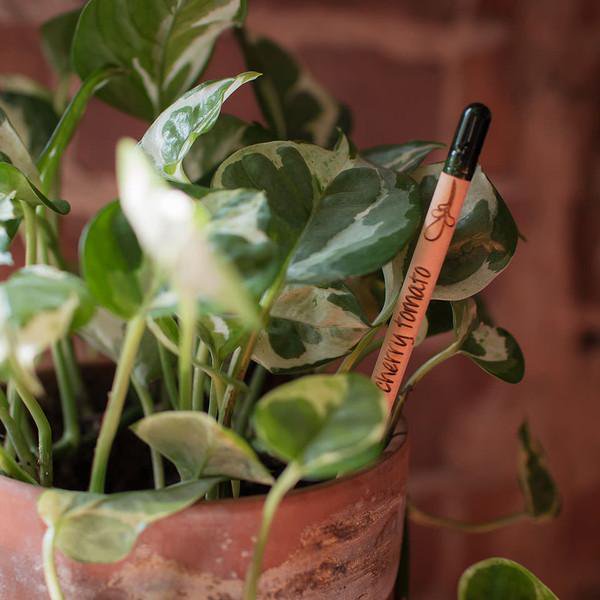 When these #CitationNeeded pencils get too short to write, you can plant them and start an herb garden! store.wikimedia.org/products/citat…