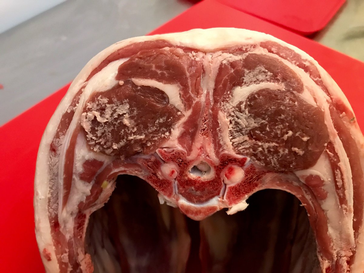 ChefsPass's tweet photo. Today I've been mainly honing my butchery skills @Althamsbutchers #britishlamb #lambloin #lambfillet #butchery #boucherie https://t.co/uTt0en90vh
