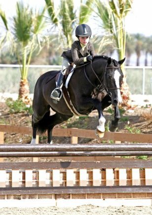 catchrodethat's tweet photo. In honor of pony finals, throwback to catch riding 15 million ponies. Goldie, Strawberry, Frodo, and Best Boy were some of the favs. https://t.co/ANvMsRE0PV
