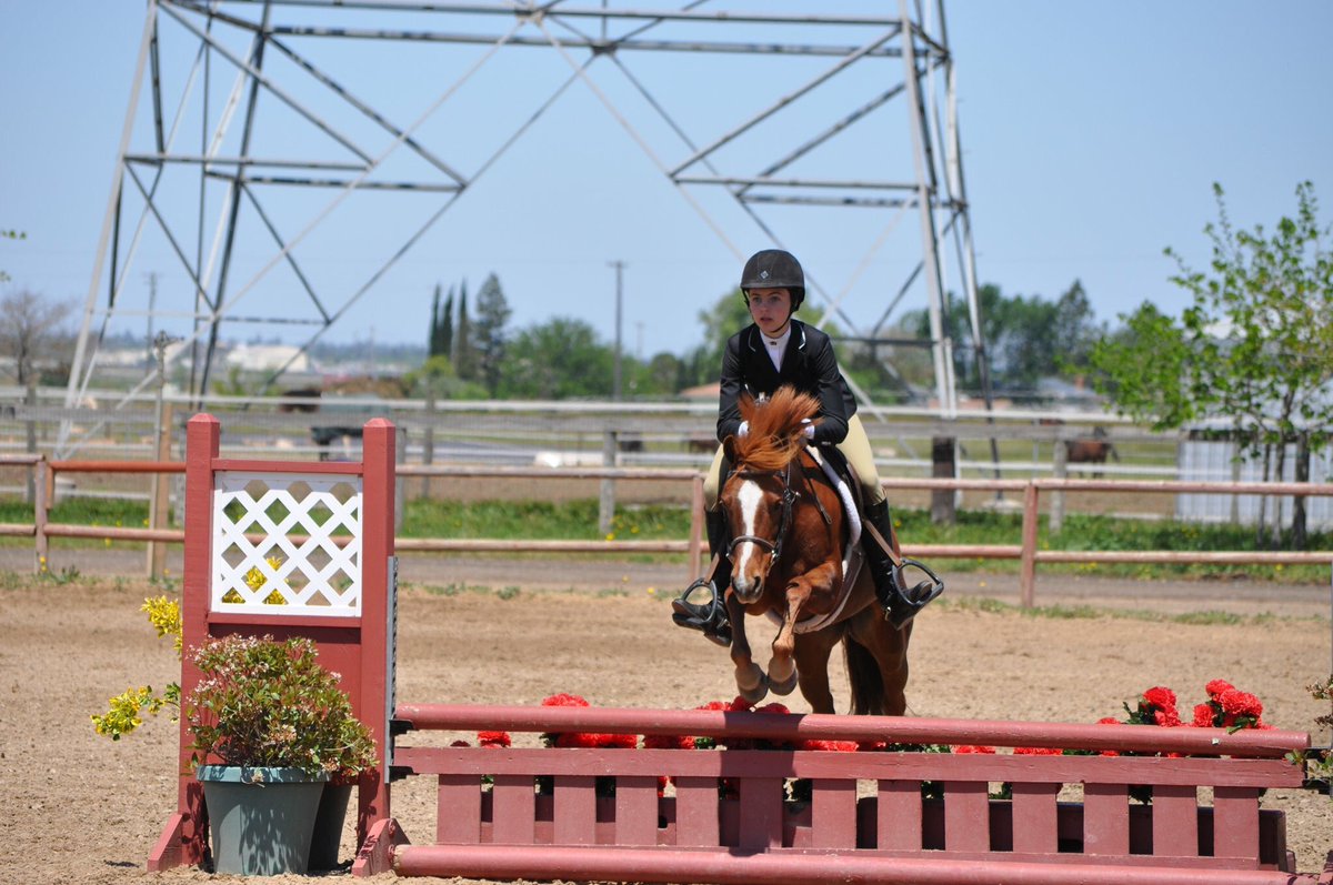 catchrodethat's tweet photo. In honor of pony finals, throwback to catch riding 15 million ponies. Goldie, Strawberry, Frodo, and Best Boy were some of the favs. https://t.co/ANvMsRE0PV