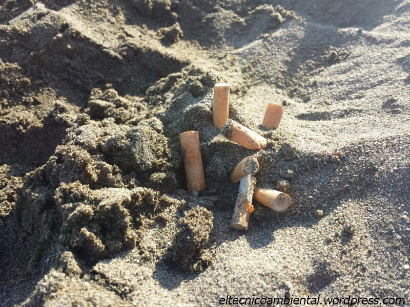 NadalMiki's tweet photo. El problema de las colillas en la playa no se soluciona con gente que las recoja sino con gente que no las tire. https://t.co/JEjG4KPuNN
