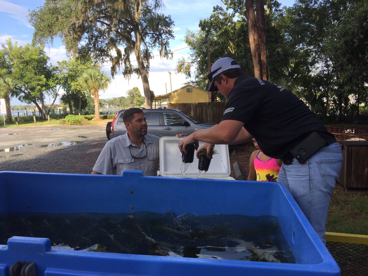 DE_AnaGibbs's tweet photo. Thank you for stopping by @CitrusChronicle!!.. and covering @DukeEnergy & #SaveCrystalRiver eelgrass giveaway at Kings Bay Park! https://t.co/rfcoayJzBg