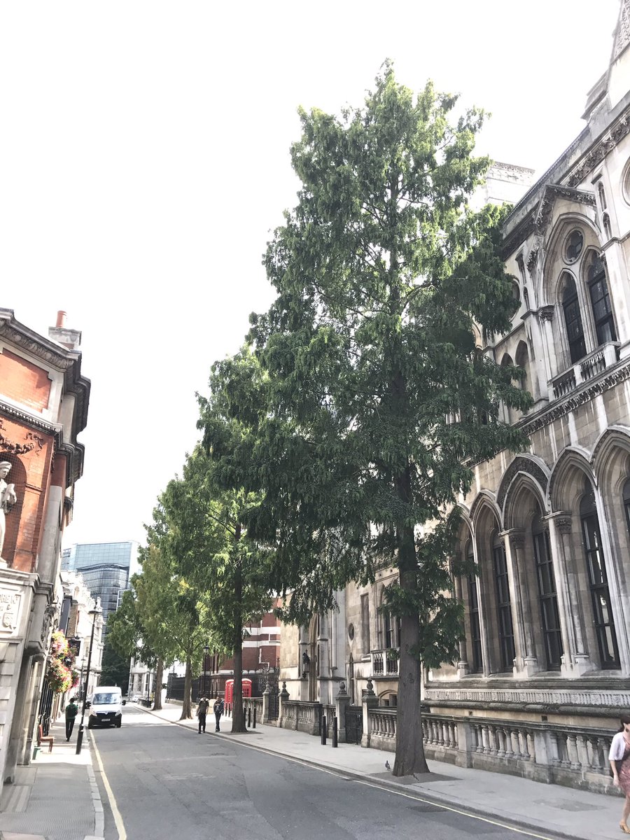 TiCL (NO to a blue tick) tweet media