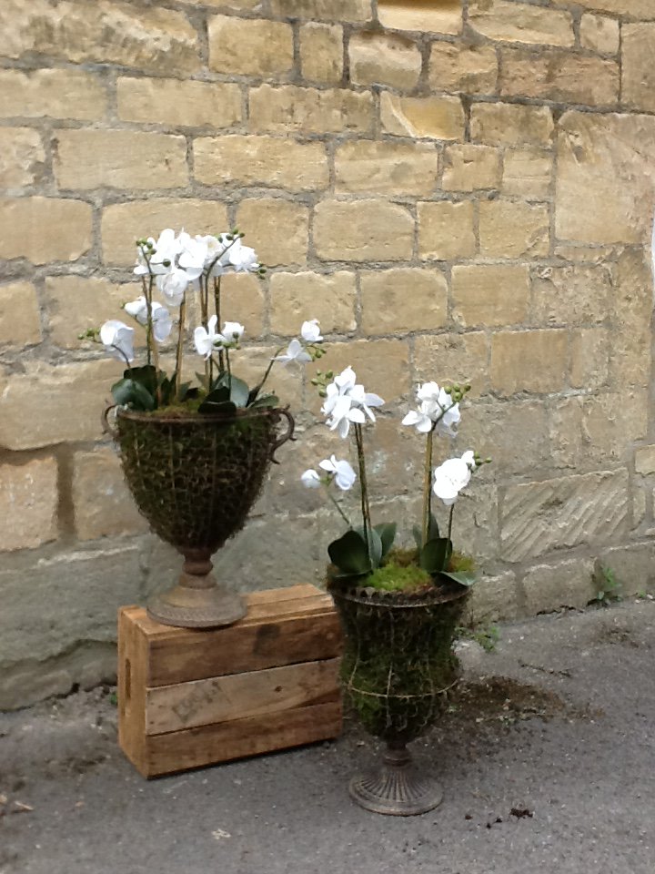 Wcombeflowers's tweet photo. You wouldn't believe this are fake orchids would you ? ! https://t.co/RdOq0fLIQZ
