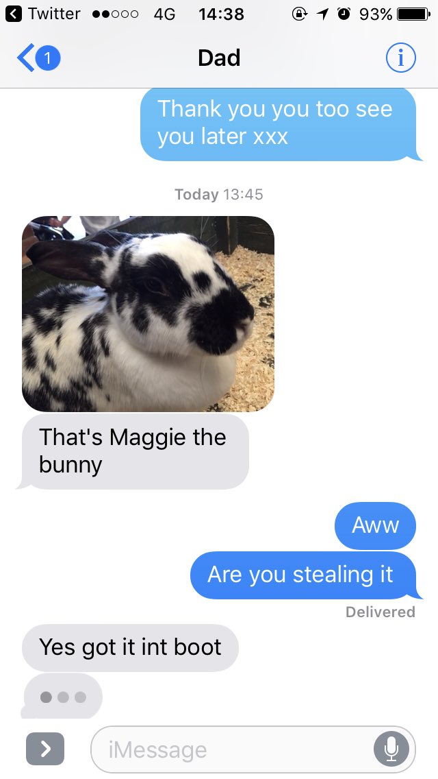 rachaellfrench's tweet photo. #hideyopets https://t.co/FZWIiNZLg4