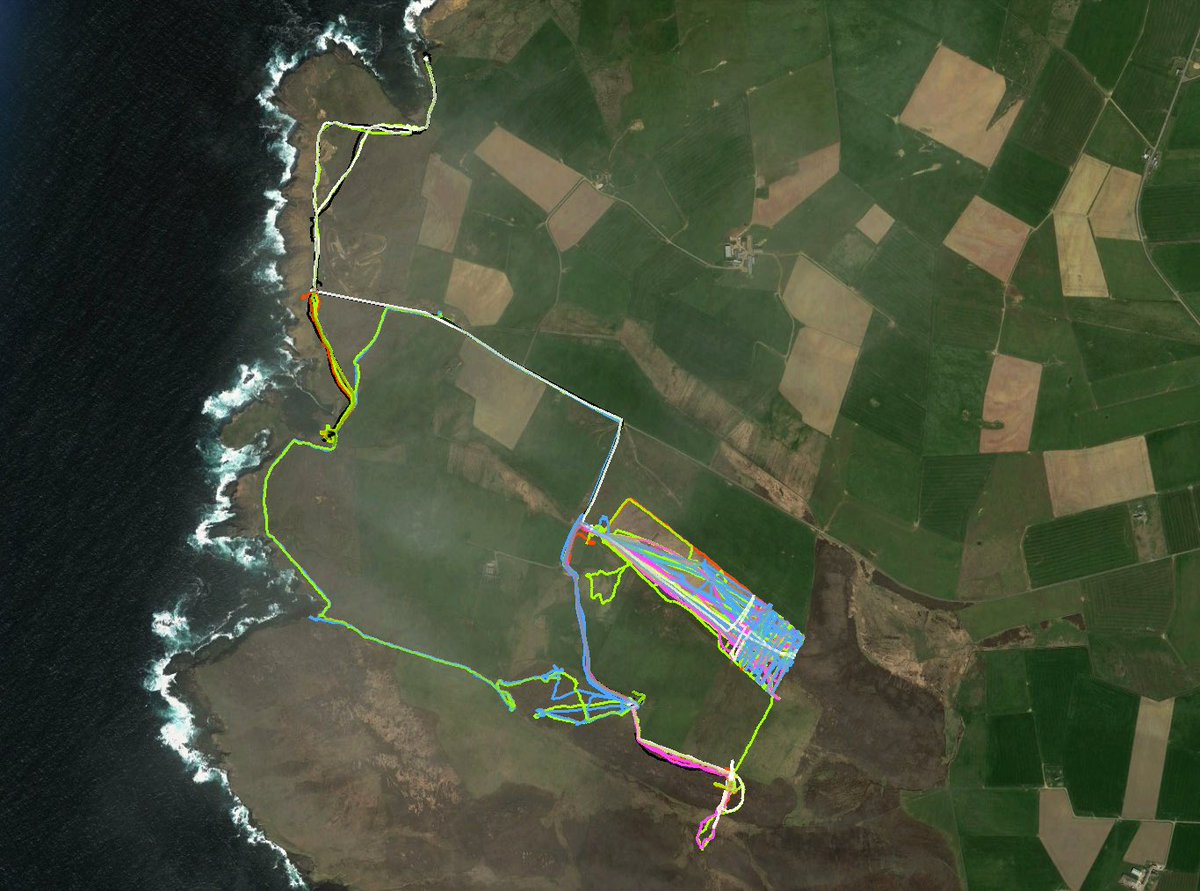 YAARP_Orkney's tweet photo. YAARP 2017 Fieldwork #GPS #walking #art #landscape #archaeology #Yesnaby #Orkney @UHIArchaeology 3 GPS x 7ppl x 2wks https://t.co/yL3wk3IUSs https://t.co/JckqDEoUZ2