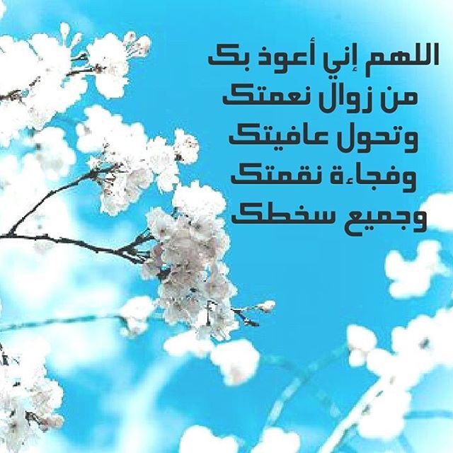 @JTykNJMDioMATMT <a href="/alansarif_/">ام عبدالرحمن</a> <a href="/ash772901/">حسين. الجبوري ابو قصي ↪</a> <a href="/karima8k8/">امل</a> @LamaAljuneyat <a href="/gulistanm129/">Gul jwan</a> <a href="/hosnyabone3ma/">حسني أبو نعمه</a> <a href="/bosyzezo1/">الخنساء✒️</a> <a href="/AhmedZubaidy/">Ahmed Zubaidy</a> <a href="/OMEBRAHEM_1979/">أمِے إبرٱهيمِے⁦🇯🇴⁩</a> <a href="/maritzaschreib1/">maritzaschreib1</a> <a href="/moonsky805/">نبع الوفاء الشمري</a> <a href="/muna_daboubi/">Muna Daboubi</a> <a href="/sHLGu1u9tDS1eov/">من بلاد الشهداء</a> <a href="/2222Shafee/">lotfy shafee</a> <a href="/om_maladh777/">أم ملاذ</a> <a href="/the_k20/">🌹🌹🌹🌹🌹🌹</a> <a href="/abeer86420248/">د / عبير الجندي</a> <a href="/knmer/">نمر نشامى</a> <a href="/Mh200922/">أم زياد.. دخول متقطع جدًا جداً ✋ 🌹🌱</a> <a href="/iraqya99/">عراقيه</a> اللَّهُمَّ إِنِّي أَعُوذُ بِكَ مِنْ 
زَوَالِ نِعْمَتِكَ، وَتَحَوُّلِ عَافِيَتِكَ، 
وَفُجَاءَةِ نِقْمَتِكَ، وَجَمِيعِ سَخَطِكَ"