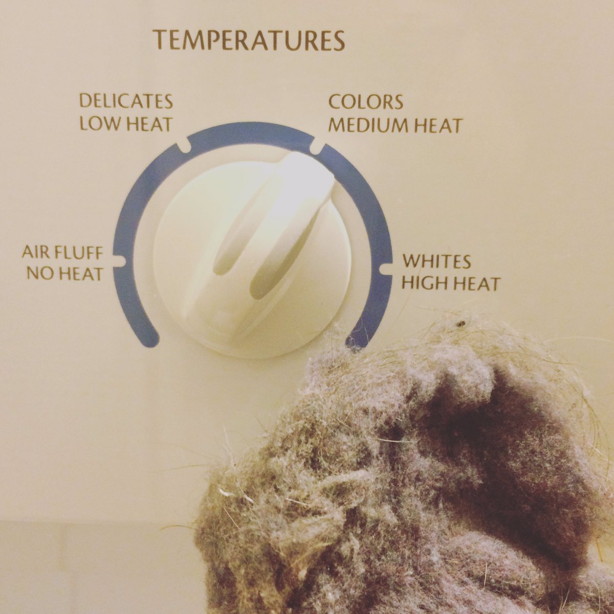 TrueWestCompost's tweet image. Did you know you can also #compost dryer lint? Compost isn't just for the kitchen!